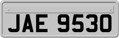 JAE9530
