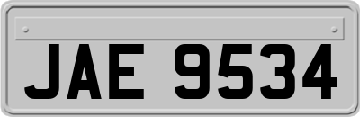 JAE9534