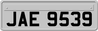JAE9539