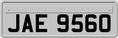 JAE9560