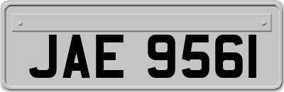 JAE9561