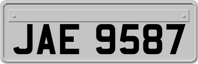 JAE9587