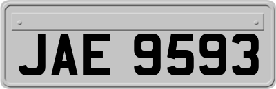 JAE9593