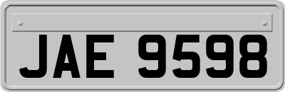 JAE9598