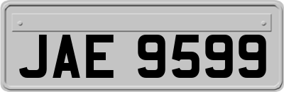 JAE9599
