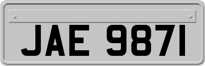 JAE9871