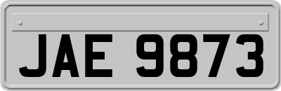 JAE9873