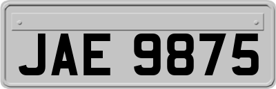 JAE9875
