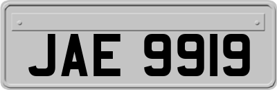 JAE9919