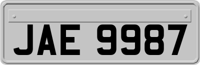 JAE9987