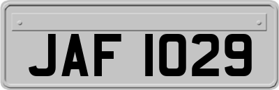 JAF1029