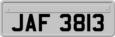 JAF3813
