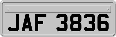 JAF3836