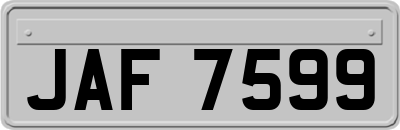 JAF7599
