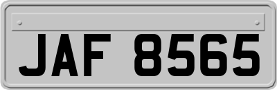 JAF8565
