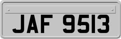 JAF9513