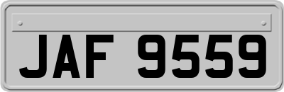 JAF9559