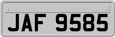 JAF9585