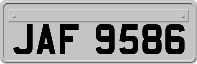 JAF9586