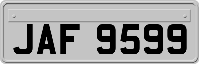 JAF9599