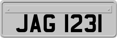JAG1231