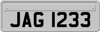 JAG1233