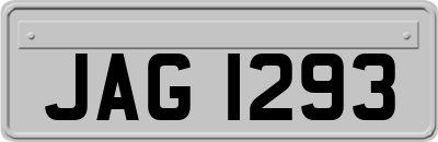 JAG1293
