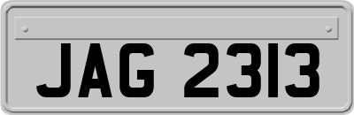 JAG2313