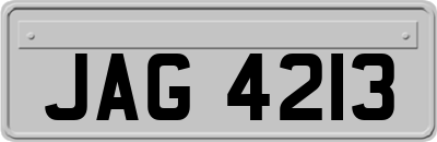 JAG4213