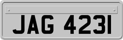 JAG4231
