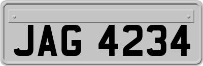 JAG4234