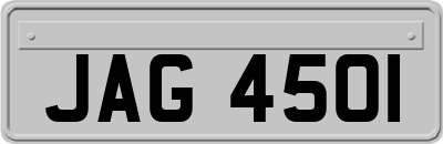 JAG4501