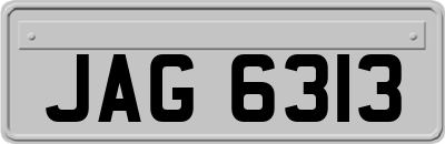 JAG6313