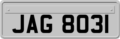 JAG8031