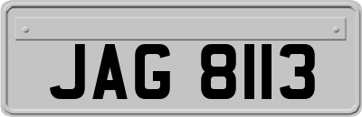 JAG8113