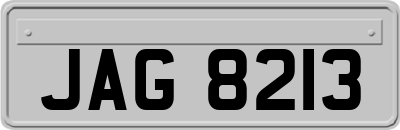 JAG8213