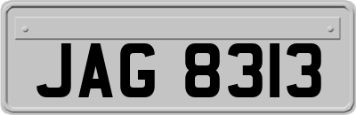 JAG8313