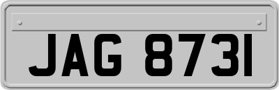 JAG8731