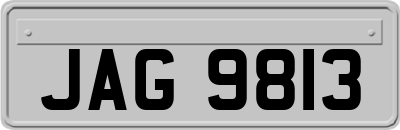 JAG9813