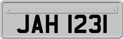 JAH1231