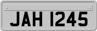 JAH1245