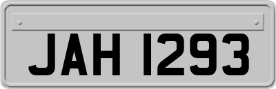 JAH1293