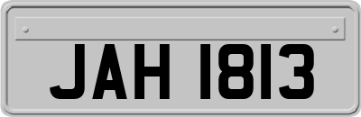 JAH1813