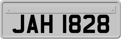 JAH1828