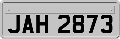 JAH2873