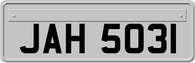 JAH5031