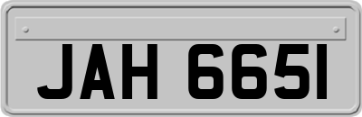 JAH6651