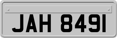 JAH8491