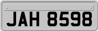 JAH8598