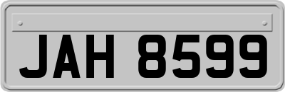 JAH8599